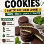 Homemade Thin Mint Cookies (Easy Copycat Girl Scout Recipe)